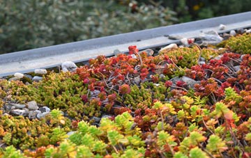 the cost of Hensting green roof installation